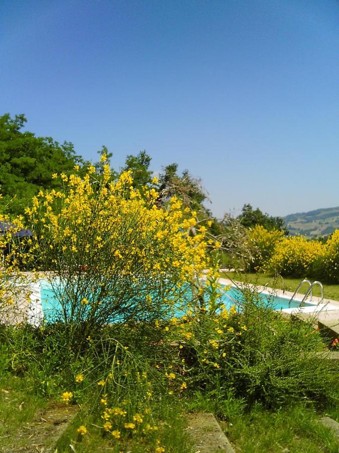 Bed And Breakfast Il Governatore Urbino Exterior photo