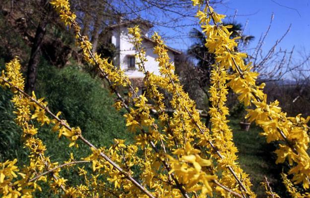 Bed And Breakfast Il Governatore Urbino Exterior photo