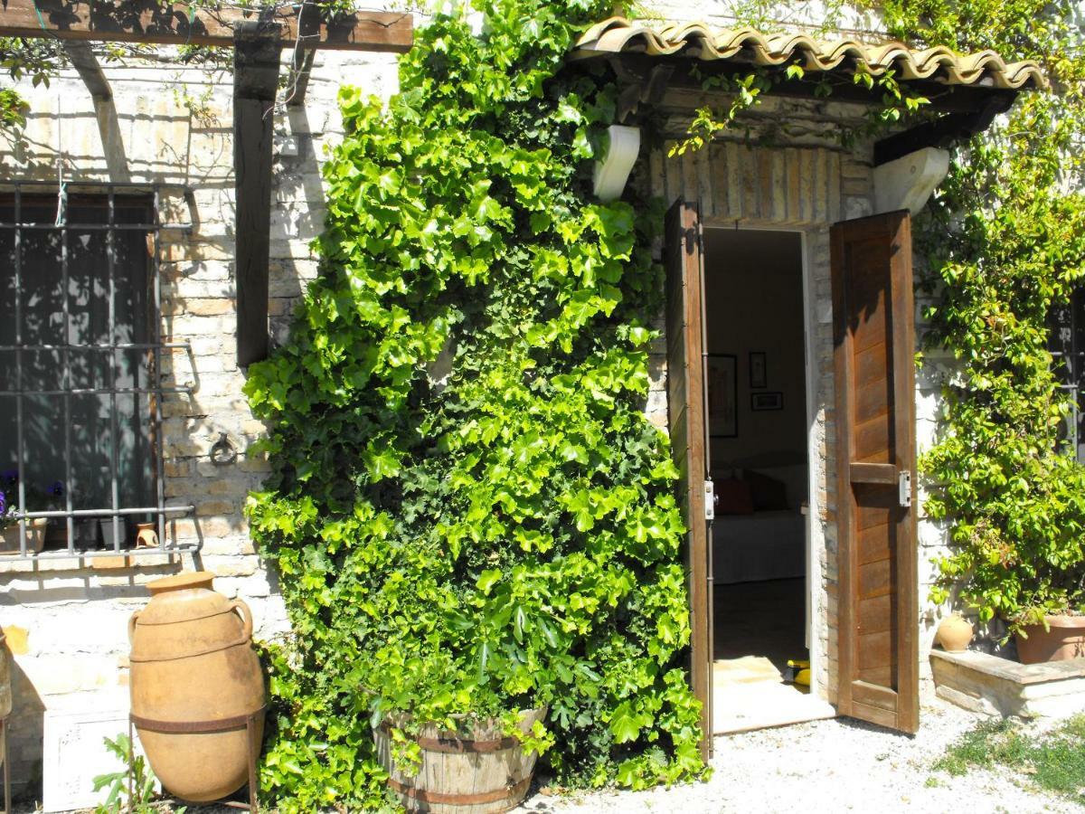 Bed And Breakfast Il Governatore Urbino Exterior photo