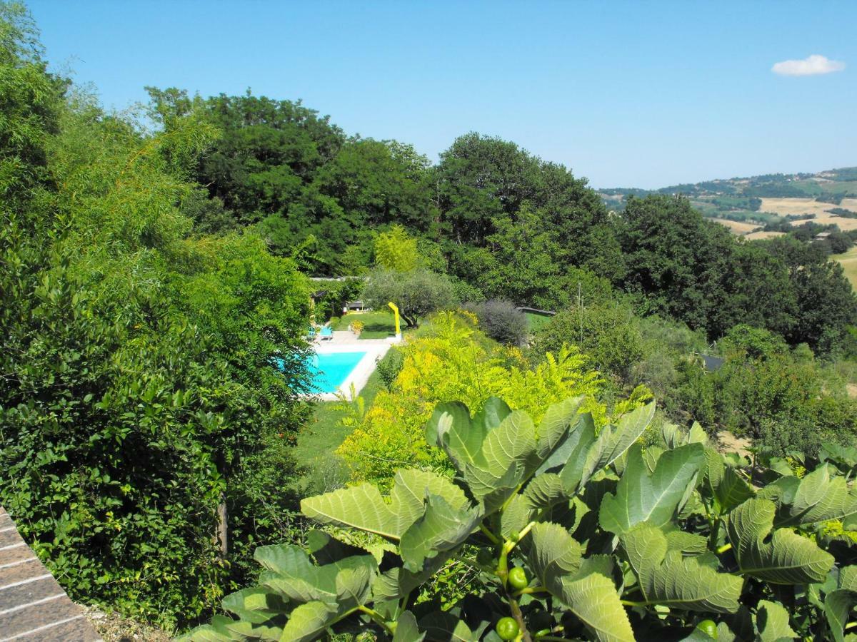 Bed And Breakfast Il Governatore Urbino Exterior photo